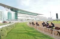 meydan entries.